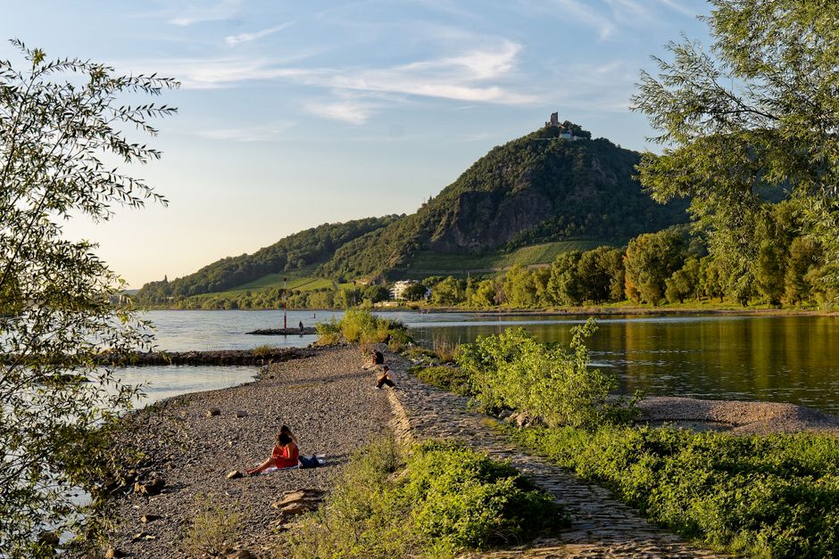 Beautiful summer view of Drachenfels and Rhine River in Bad Honnef, perfect for travel inspiration.