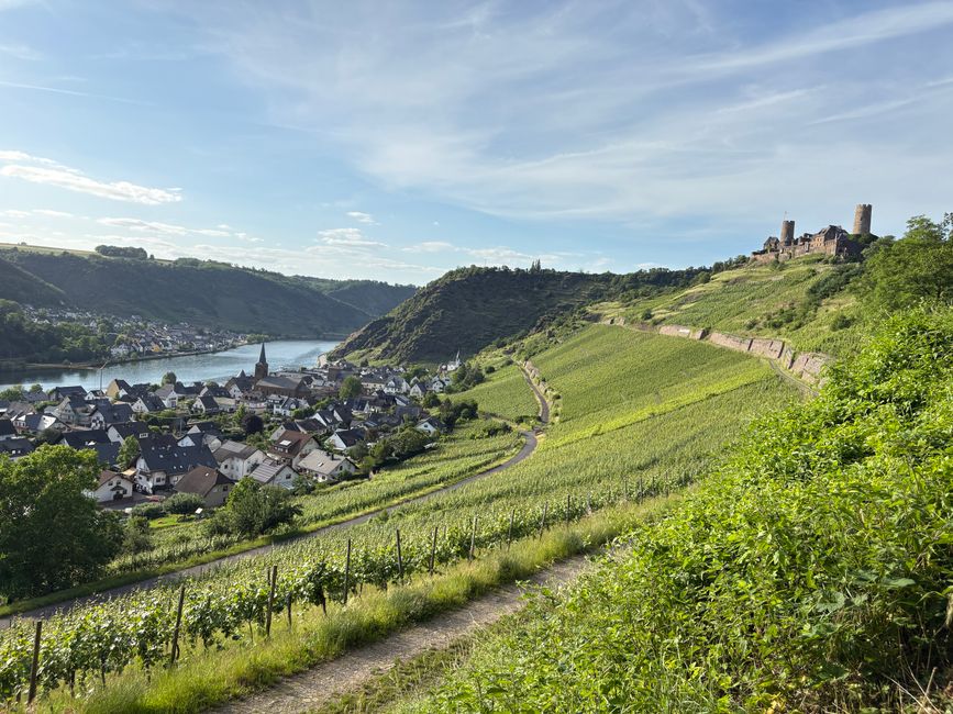 Capture of Boppard with vineyards and historic castles overlooking the Rhine on a sunny day.